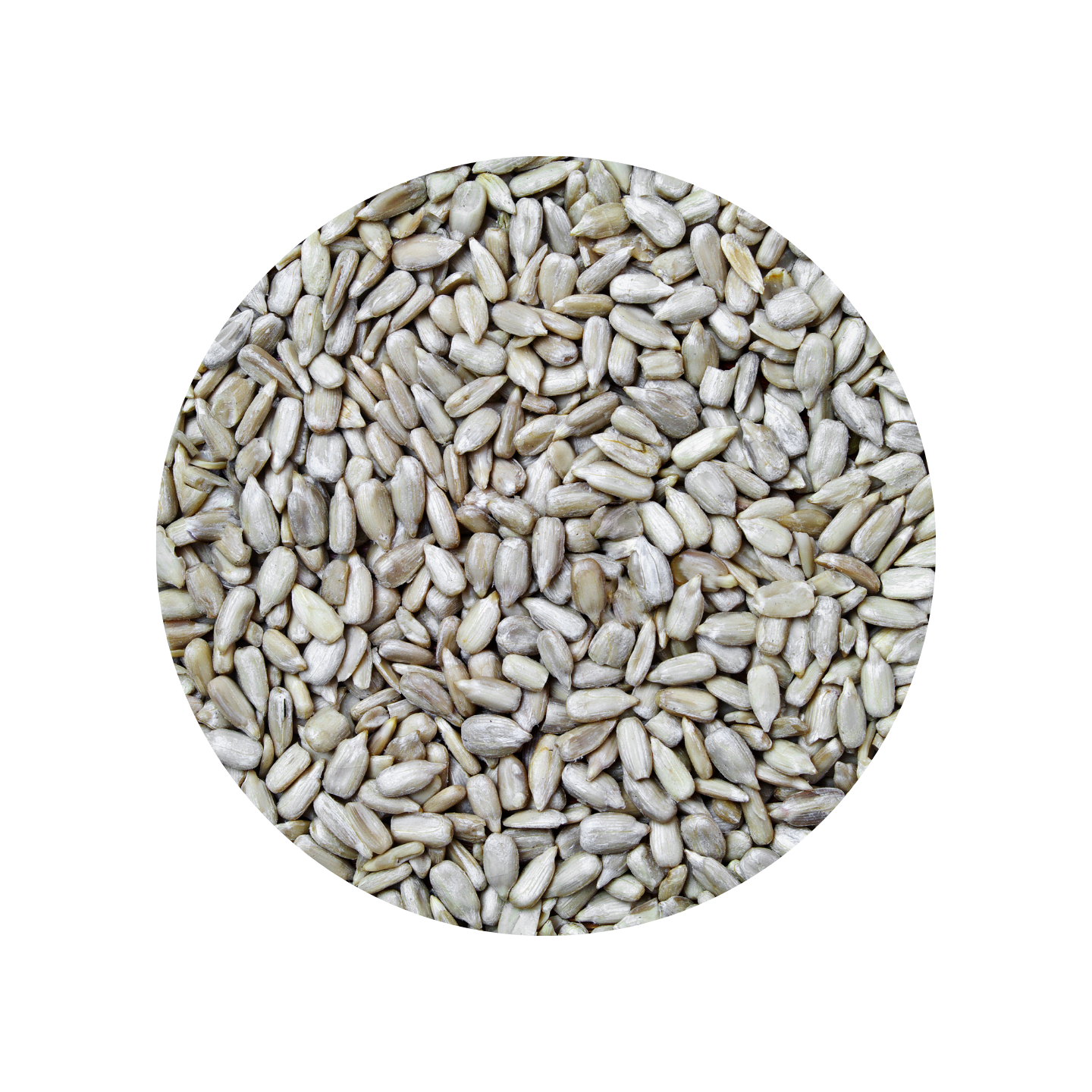 kamko organic sunflower kernels