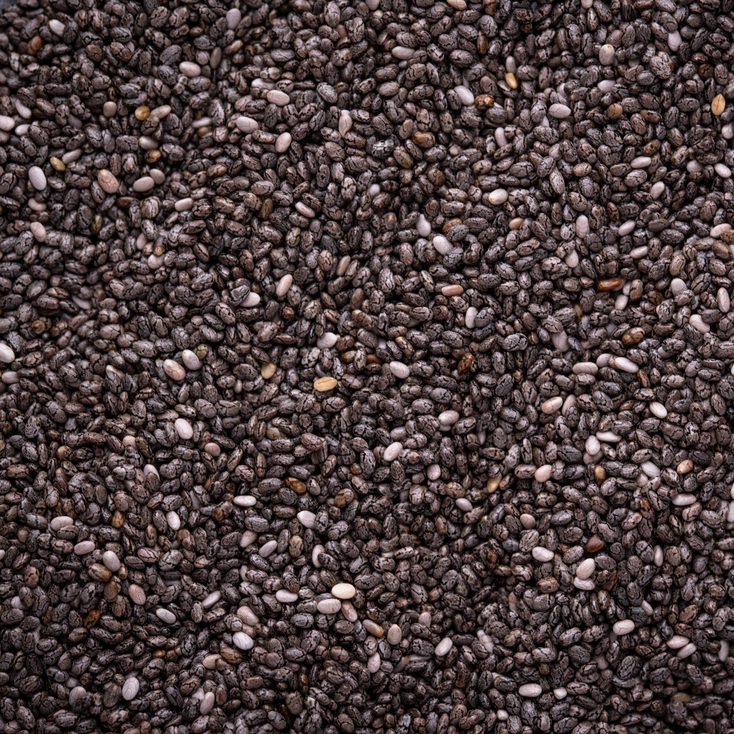 kamko organic black chia seeds