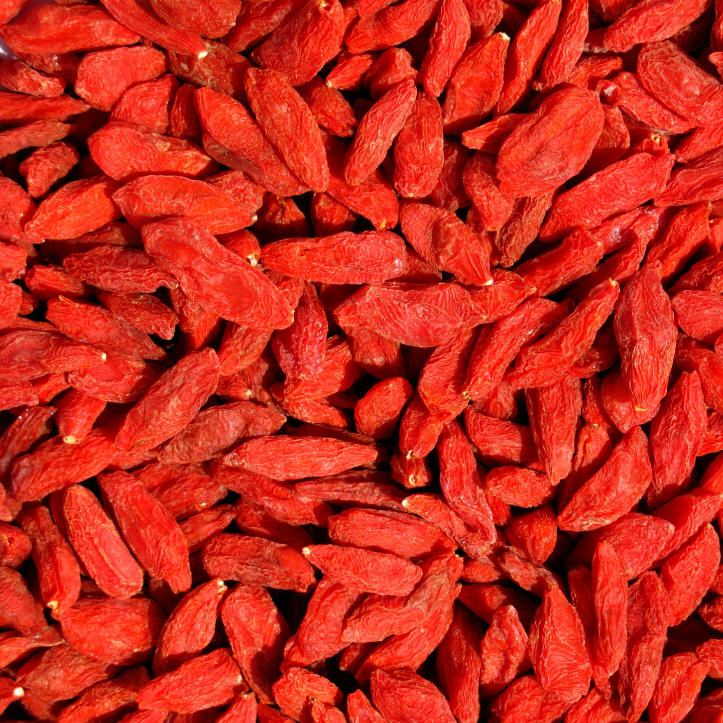 close-up of dried organic goji berries showing vibrant red colour