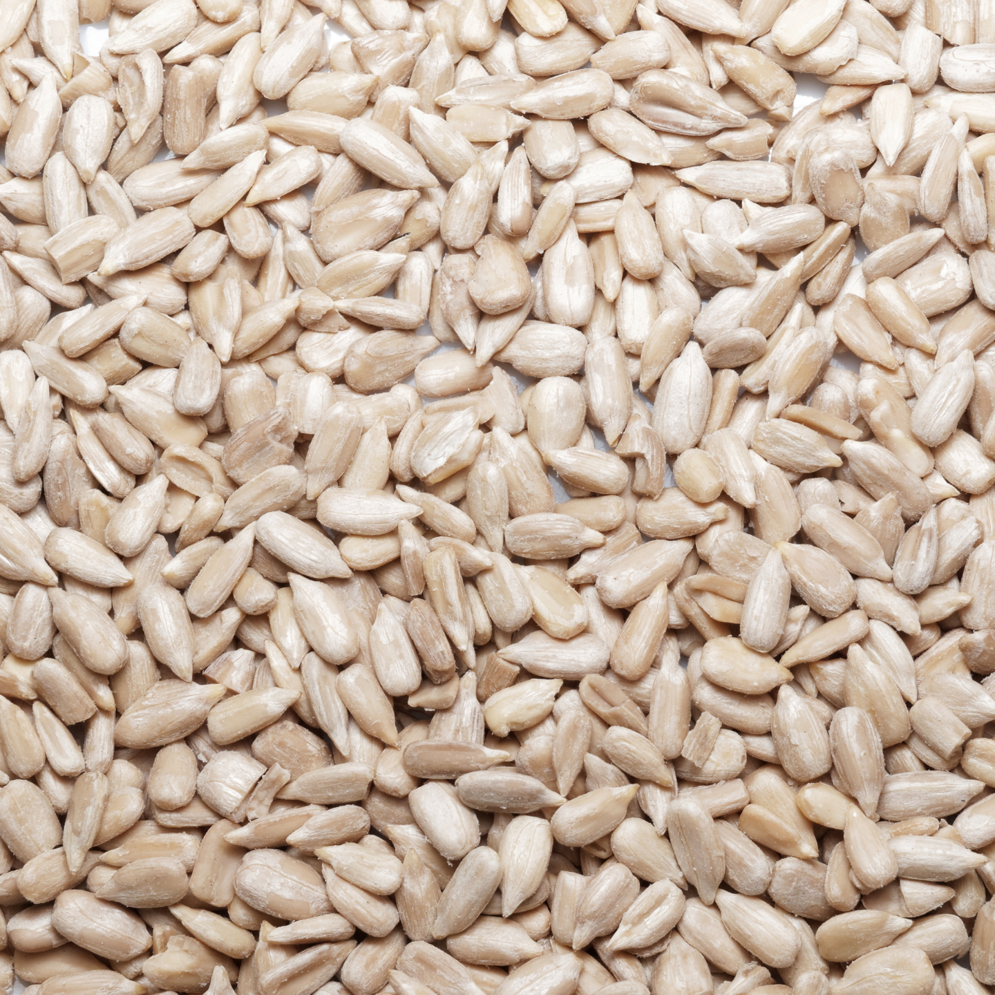 kamko organic sunflower kernels